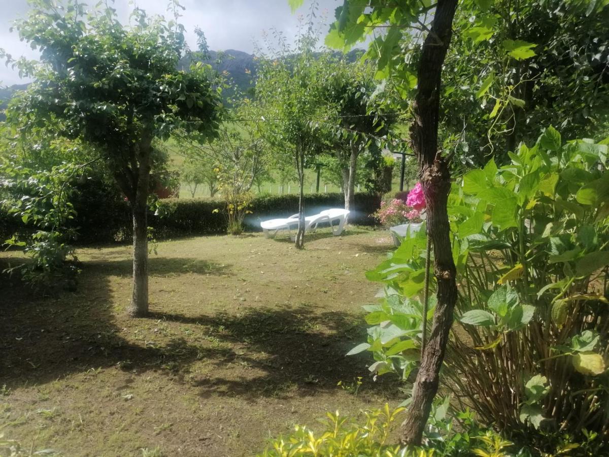 Apartamentos Casa Rural La Quintana Inguanzo Arenas De Cabrales Extérieur photo